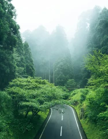 “The Good Move ”, a journey right to the heart of Renault Trucks' ecological transition