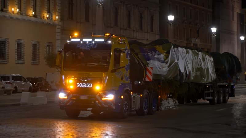 A MAN brings the Christmas tree for the Pope